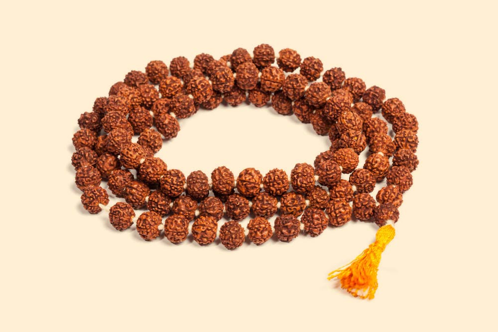 The Three Mukhi Rudraksha